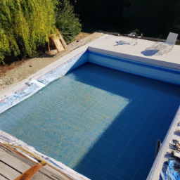 Accessoires et Produits d'Entretien : Maintenez votre Piscine dans un État Impeccable Villeurbanne